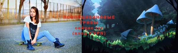 гидра Беломорск