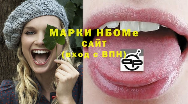 хмурый Белокуриха