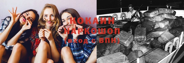 хмурый Белокуриха