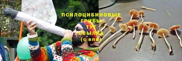 хмурый Белокуриха
