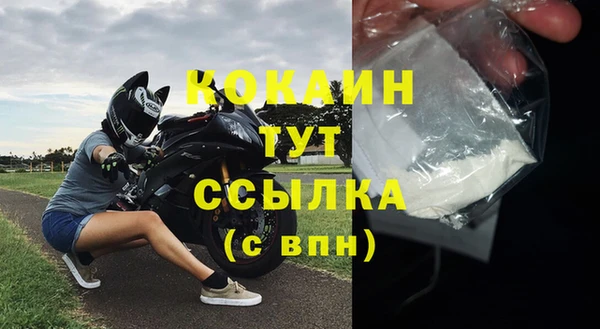 хмурый Белокуриха