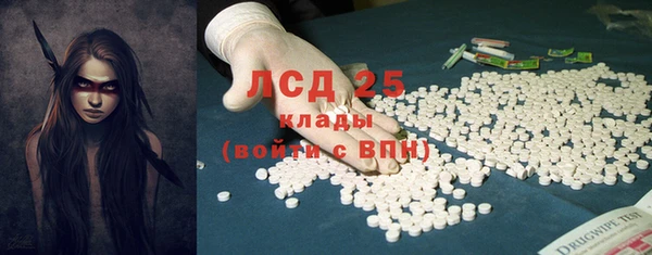хмурый Белокуриха