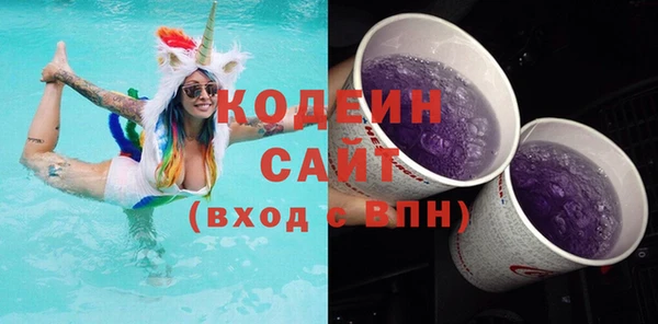 хмурый Белокуриха