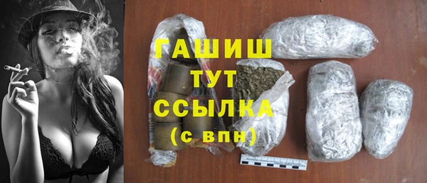 хмурый Белокуриха