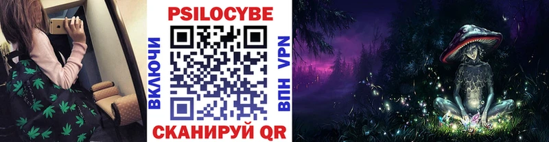 Псилоцибиновые грибы Psilocybine cubensis  Верхняя Пышма 